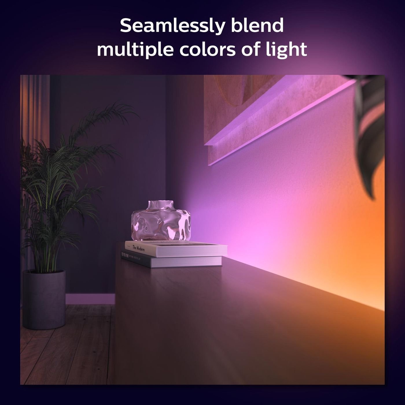 Philips 2m White and Colour Hue Gradient Lightstrip Base Unit