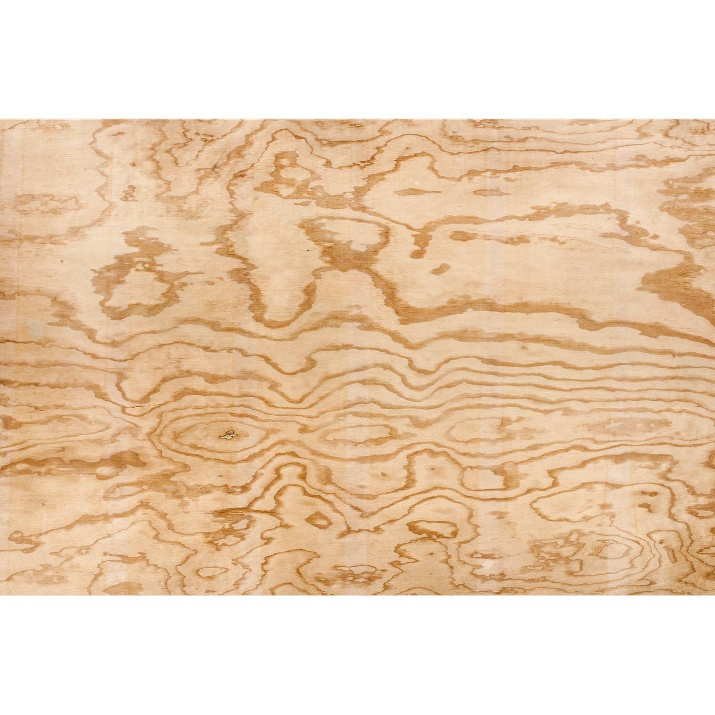 Ecoply Longspan Structural Flooring Plywood H3.2 Treated 2400mm x 1200mm x 19mm
